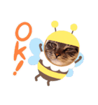 猫のゴマちゃん、パート1（個別スタンプ：28）