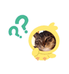 猫のゴマちゃん、パート1（個別スタンプ：32）