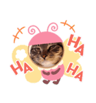 猫のゴマちゃん、パート1（個別スタンプ：33）