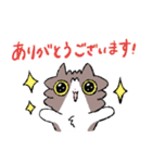 ゆるねこ4きょうだいスタンプ 第2弾（個別スタンプ：1）