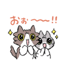 ゆるねこ4きょうだいスタンプ 第2弾（個別スタンプ：16）