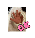 くうたstamp（個別スタンプ：7）