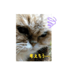 こぺまる2（個別スタンプ：14）