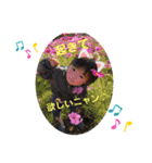 きい＆しるの日常スタンプ（個別スタンプ：6）