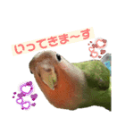 コザクラインコのくりんちゃん②（個別スタンプ：3）