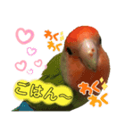 コザクラインコのくりんちゃん②（個別スタンプ：8）
