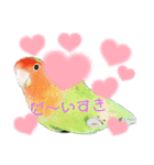 コザクラインコのくりんちゃん②（個別スタンプ：14）