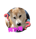 みんなと一緒19（個別スタンプ：2）