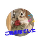 みんなと一緒19（個別スタンプ：3）