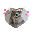 みんなと一緒19（個別スタンプ：7）