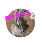 みんなと一緒19（個別スタンプ：9）