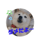 みんなと一緒19（個別スタンプ：10）