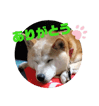 みんなと一緒19（個別スタンプ：14）
