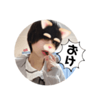 いるにすさんのスタンプ Ⅵ（個別スタンプ：3）
