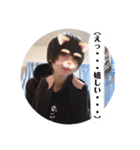 いるにすさんのスタンプ Ⅵ（個別スタンプ：7）