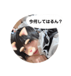 いるにすさんのスタンプ Ⅵ（個別スタンプ：8）