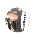 いるにすさんのスタンプ Ⅵ（個別スタンプ：9）