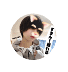 いるにすさんのスタンプ Ⅵ（個別スタンプ：31）