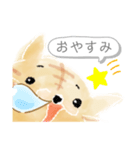 ねこのようもの（ふきだし）（個別スタンプ：4）