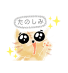 ねこのようもの（ふきだし）（個別スタンプ：6）