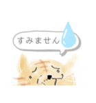 ねこのようもの（ふきだし）（個別スタンプ：10）