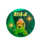 上がる 金魚のラブリー❤️❤️ ちょーすけ（個別スタンプ：1）