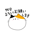 ありがとうとよろしくのネコたち（個別スタンプ：21）
