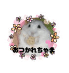 レイたん＆れおたん（個別スタンプ：1）