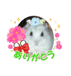 レイたん＆れおたん（個別スタンプ：3）