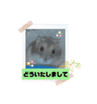 レイたん＆れおたん（個別スタンプ：10）