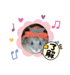 レイたん＆れおたん（個別スタンプ：14）