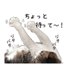 キジ白ばぁば！vol.2（個別スタンプ：18）