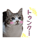 キジ白ばぁば！vol.2（個別スタンプ：19）