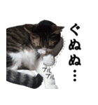 キジ白ばぁば！vol.2（個別スタンプ：27）