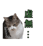 キジ白ばぁば！vol.2（個別スタンプ：32）