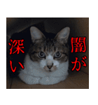 キジ白ばぁば！vol.2（個別スタンプ：34）