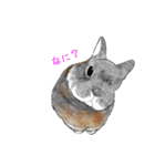 北海道エコの動物たち1（個別スタンプ：2）