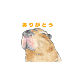 北海道エコの動物たち1（個別スタンプ：3）