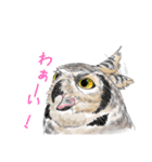 北海道エコの動物たち1（個別スタンプ：5）