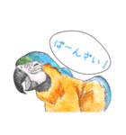 北海道エコの動物たち1（個別スタンプ：6）