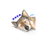 北海道エコの動物たち1（個別スタンプ：9）