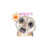 北海道エコの動物たち1（個別スタンプ：10）