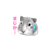 北海道エコの動物たち1（個別スタンプ：11）