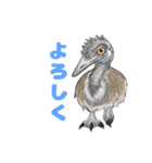 北海道エコの動物たち1（個別スタンプ：13）