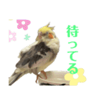 マロとゴマ（個別スタンプ：9）
