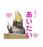 マロとゴマ（個別スタンプ：12）