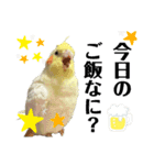 マロとゴマ（個別スタンプ：13）