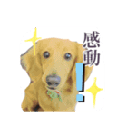 いぬたちだち（個別スタンプ：2）