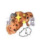 いぬたちだち（個別スタンプ：3）