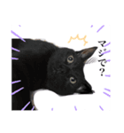 いぬたちだち（個別スタンプ：4）